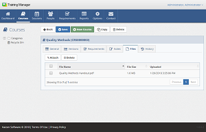 Upload any type of file on the Files tab.